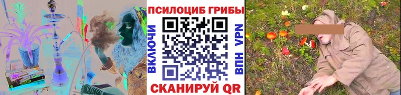 Псилоцибиновые грибы Cubensis  Верея 