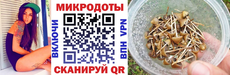 Галлюциногенные грибы ЛСД Верея